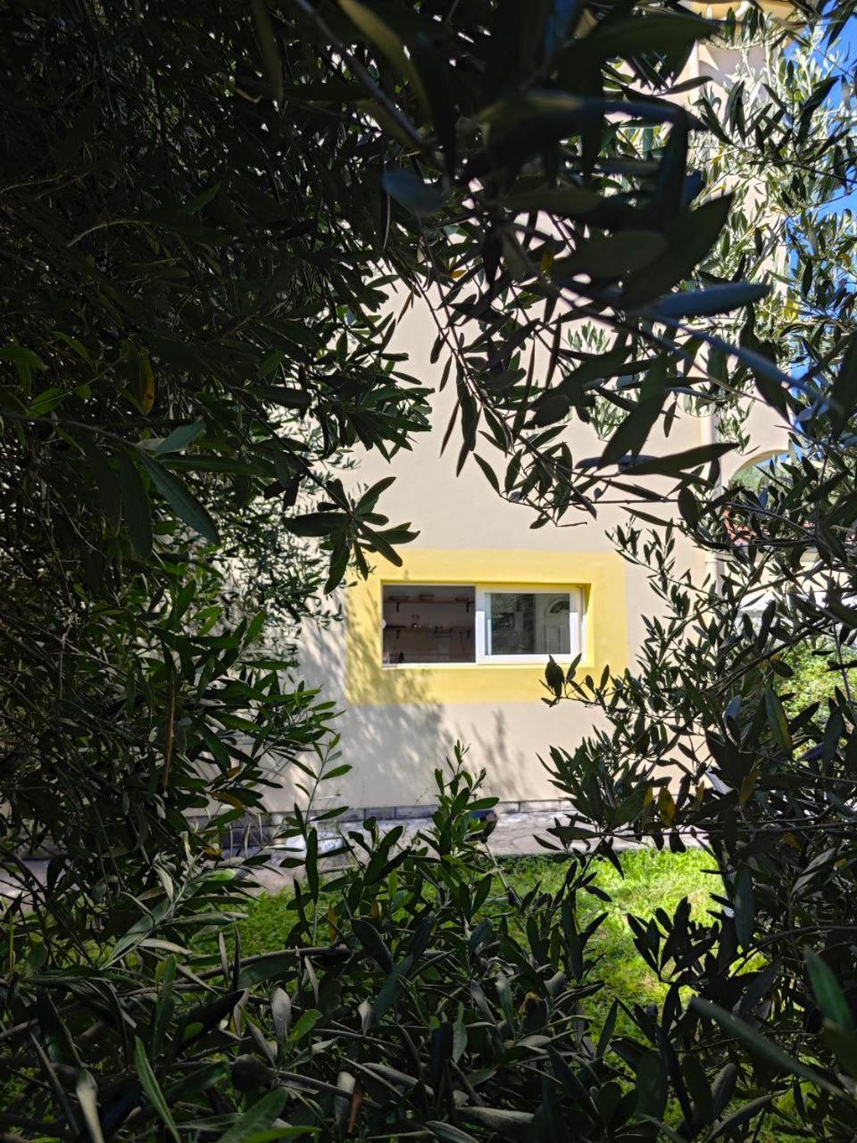 Apartmani Radovic Bijela Exteriér fotografie